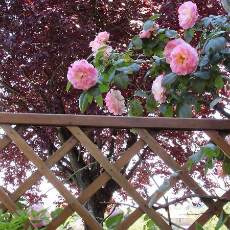 Casa Angolo delle Rose Orvieto Esterno foto