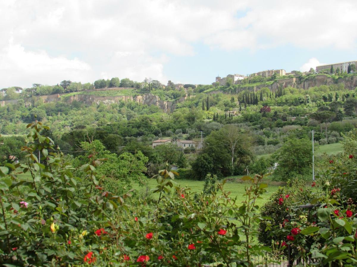 Casa Angolo delle Rose Orvieto Esterno foto